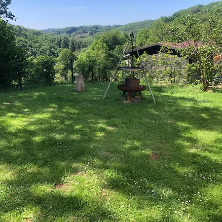 Blick Ins Gruene